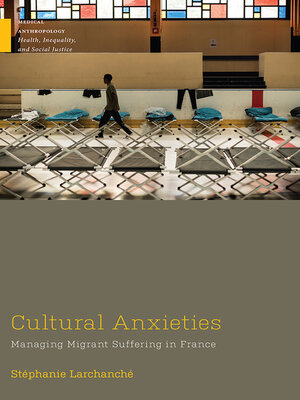 cover image of Cultural Anxieties